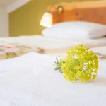 Hotel Garden House *