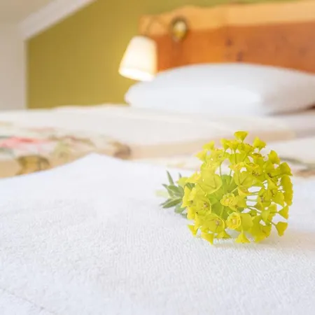 Hotel Garden House *