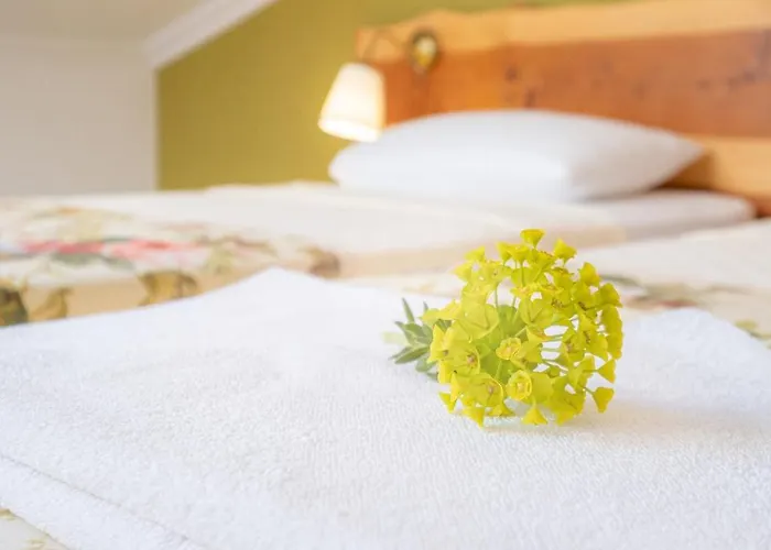 Hotel Garden House *